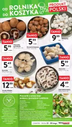 Gazetka promocyjna Intermarche - Gazetka Intermarche - Gazetka - ważna od 28.02 do 28.02.2024 - strona 11 - produkty: Piec, Top, Ser, Por, Grzyby, Bell, Dres, Portobello, Pieprz, Pieczarka, Jarmuż, Jabłka, Boczniak