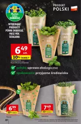 Gazetka promocyjna Auchan - Gazetka Pewność Niskich Cen Hipermarket Auchan - Gazetka - ważna od 11.12 do 11.12.2024 - strona 12 - produkty: Kolendra, Bazyl, Bazylia, Mięta