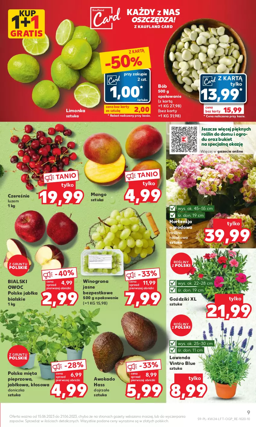 Gazetka promocyjna Kaufland - Gazetka tygodnia - ważna 15.06 do 21.06.2023 - strona 9 - produkty: Bukiet, Gra, Grunt, Jabłka, Limonka, Mango, Mięta, Pieprz, Wino, Winogrona