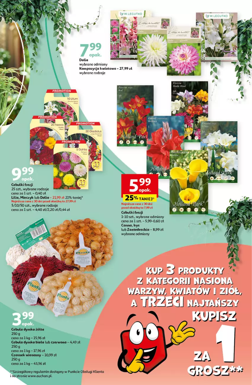 Gazetka promocyjna Auchan - Gazetka z MAŁĄ CENKĄ dźwigniesz więcej! Hipermarket Auchan - ważna 29.02 do 06.03.2024 - strona 39 - produkty: Cebula, Chia, Czosnek, Miecz