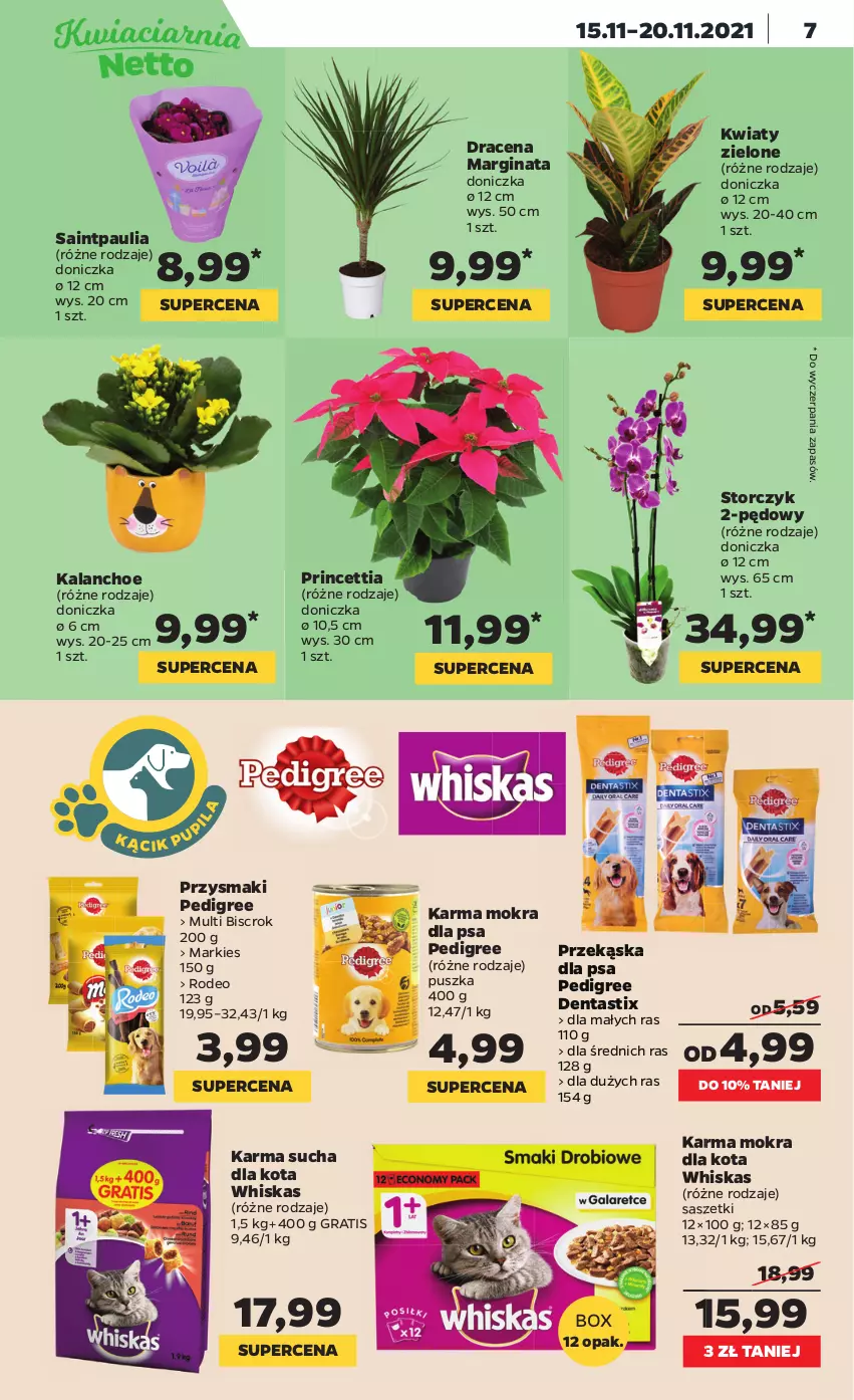 Gazetka promocyjna Netto - Gazetka spożywcza - ważna 15.11 do 20.11.2021 - strona 7 - produkty: Gin, Gra, Kalanchoe, Pedigree, Przysmaki, Storczyk, Whiskas