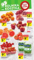 Gazetka promocyjna Intermarche - Gazetka Intermarche - Gazetka - ważna od 19.04 do 19.04.2023 - strona 10 - produkty: Gra, Roszponka, Rukola, Rubin, Wino, Gala, Ligol, Szpinak