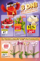 Gazetka promocyjna Auchan - Gazetka 30 Lat Hipermarket Auchan - Gazetka - ważna od 27.05 do 27.05.2026 - strona 3 - produkty: Tulipan, Truskawki, Storczyk, Bukiet