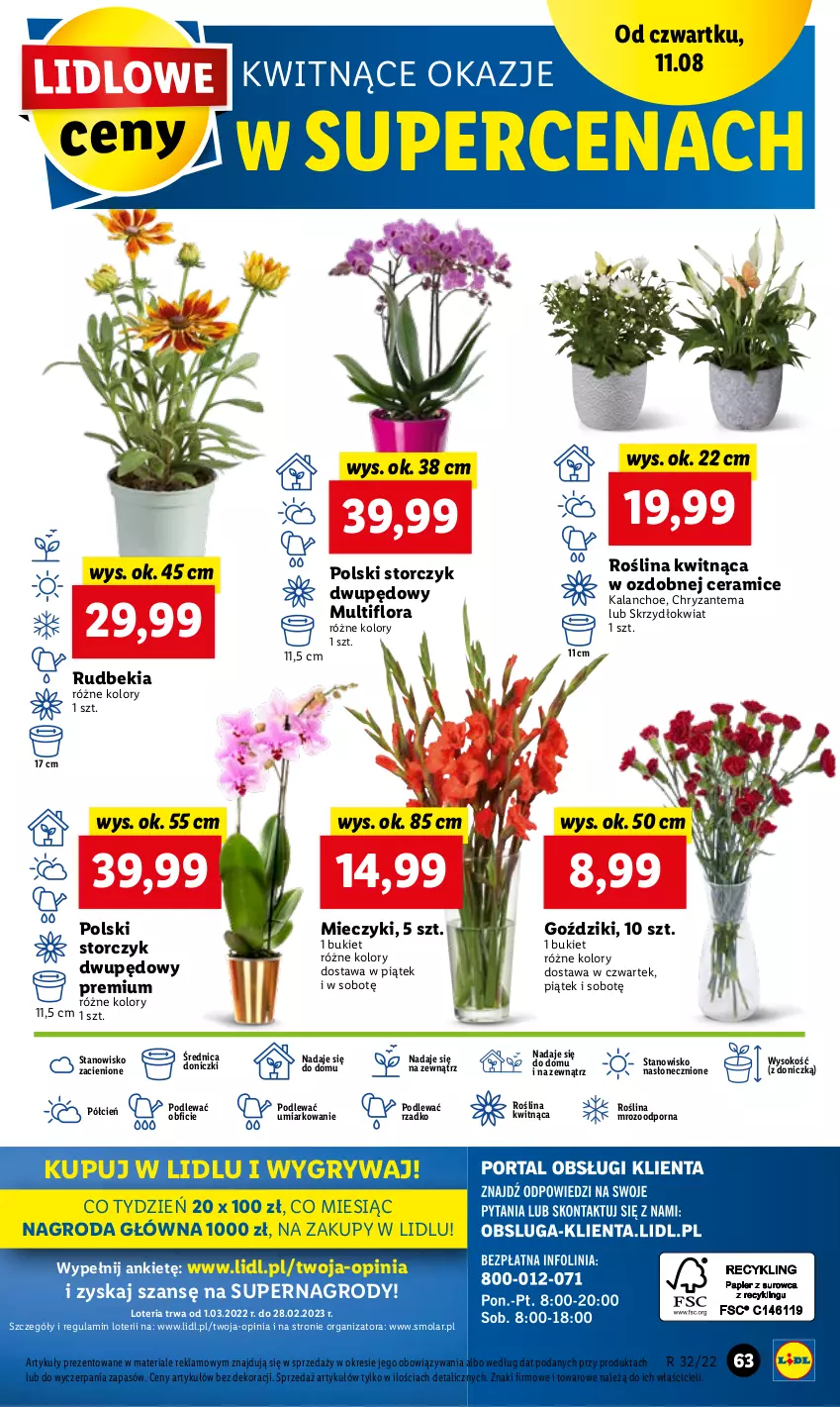 Gazetka promocyjna Lidl - GAZETKA - ważna 11.08 do 13.08.2022 - strona 63 - produkty: Bukiet, Chryzantema, Cień, Flora, Gry, Kalanchoe, Miecz, Mola, O nas, Por, Sok, Storczyk