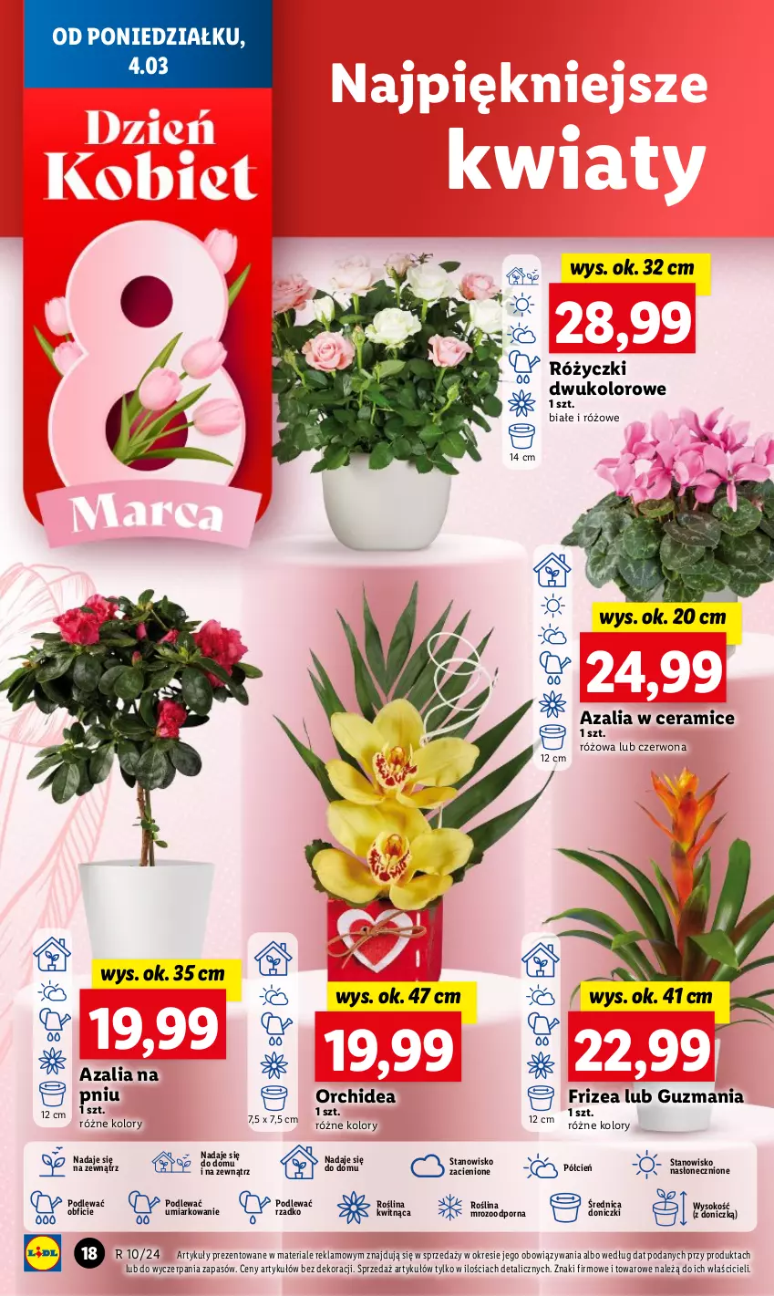 Gazetka promocyjna Lidl - GAZETKA - ważna 04.03 do 06.03.2024 - strona 20 - produkty: Cień, O nas, Por, Sok