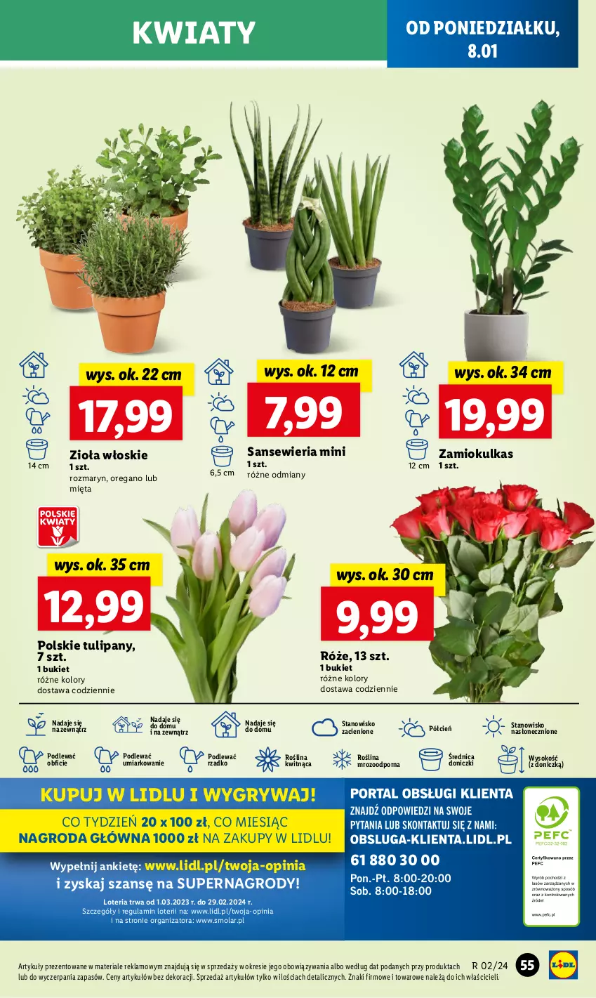 Gazetka promocyjna Lidl - GAZETKA - ważna 08.01 do 10.01.2024 - strona 59 - produkty: Bukiet, Cień, Gry, Mięta, Mola, O nas, Por, Sok, Tulipan