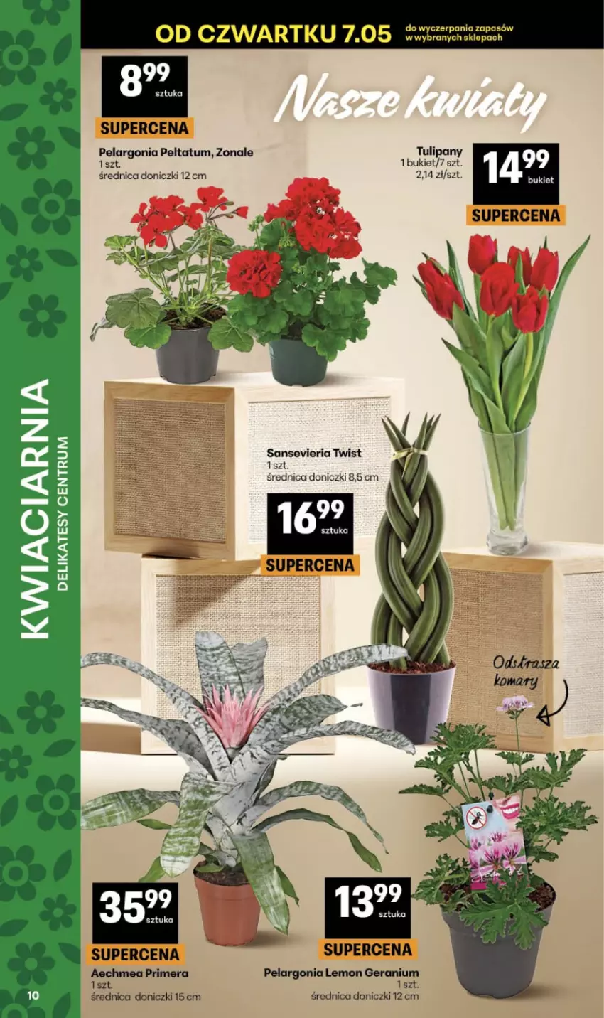 Gazetka promocyjna Delikatesy Centrum - Franczyza DC19 Czwartek - ważna 07.05 do 13.05.2026 - strona 10 - produkty: Bukiet, Tulipan