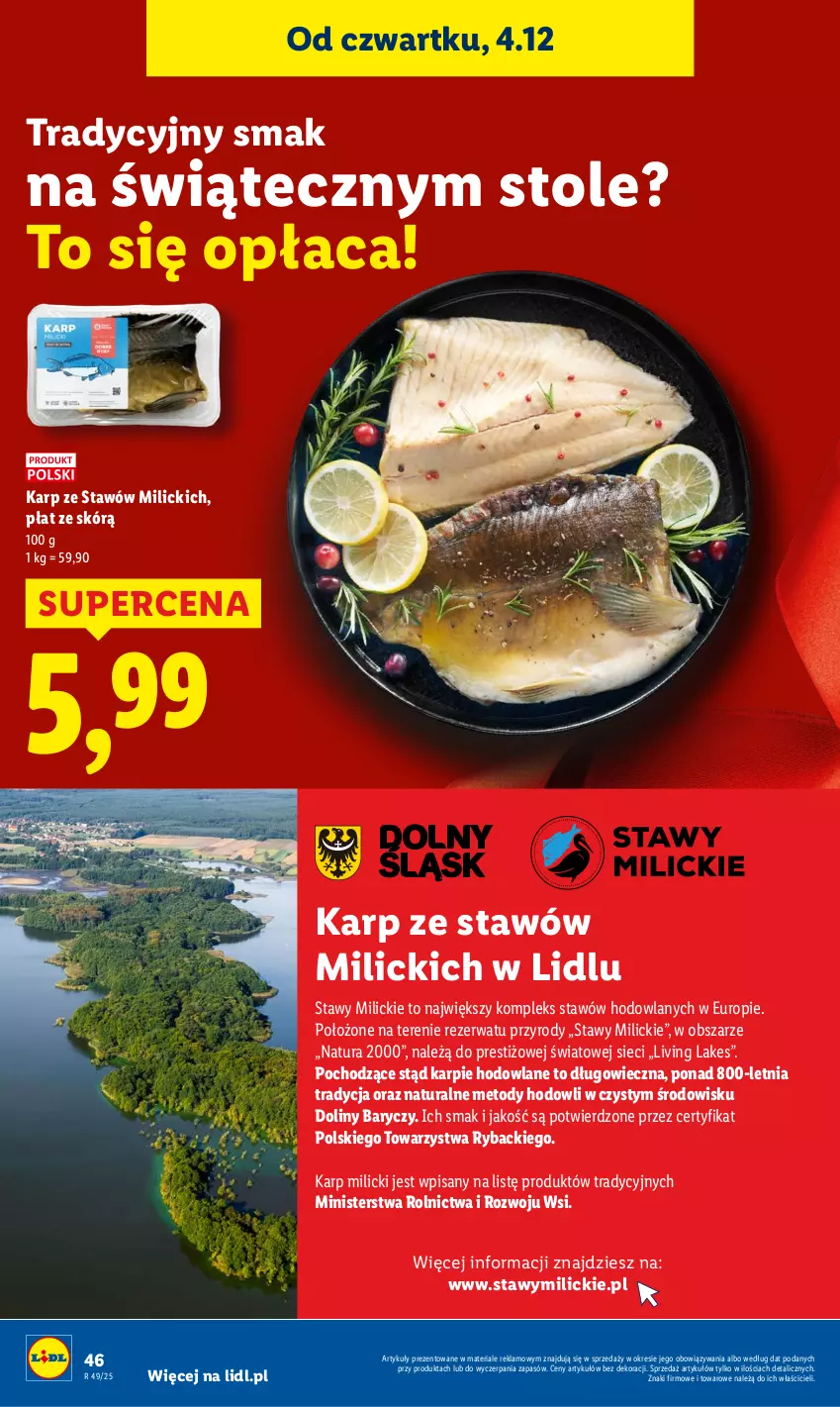 Gazetka promocyjna Lidl - GAZETKA - ważna 04.12 do 07.12.2025 - strona 48 - produkty: Karp, Ryba