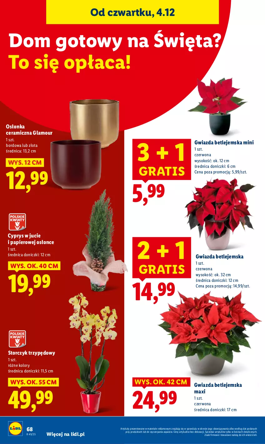 Gazetka promocyjna Lidl - GAZETKA - ważna 04.12 do 07.12.2025 - strona 70 - produkty: Gra, Gwiazda, Osłonka, Papier, Sok, Storczyk