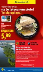 Gazetka promocyjna Lidl - GAZETKA - Gazetka - ważna od 07.12 do 07.12.2025 - strona 48 - produkty: Ryba, Karp