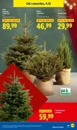 Gazetka promocyjna Lidl - GAZETKA - Gazetka - ważna od 07.12 do 07.12.2025 - strona 71 - produkty: Kask