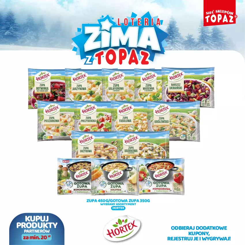 Gazetka promocyjna Topaz - Gazetka - ważna 02.12.2024 do 26.01.2025 - strona 43 - produkty: Gry, Hortex, Zupa