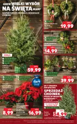 Gazetka promocyjna Kaufland - OFERTA TYGODNIA - Gazetka - ważna od 15.12 do 15.12.2021 - strona 4 - produkty: Ser, Kask, Kosz, Gwiazda, Stroik świąteczny, Drzwi