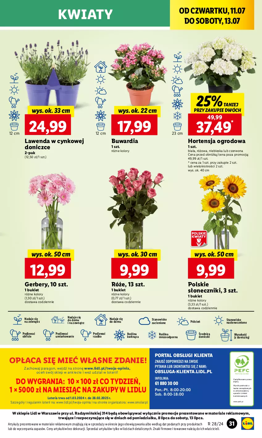 Gazetka promocyjna Lidl - GAZETKA - ważna 11.07 do 13.07.2024 - strona 44 - produkty: Bukiet, Cień, Cynk, Gerber, Gra, Mola, O nas, Por, Sok