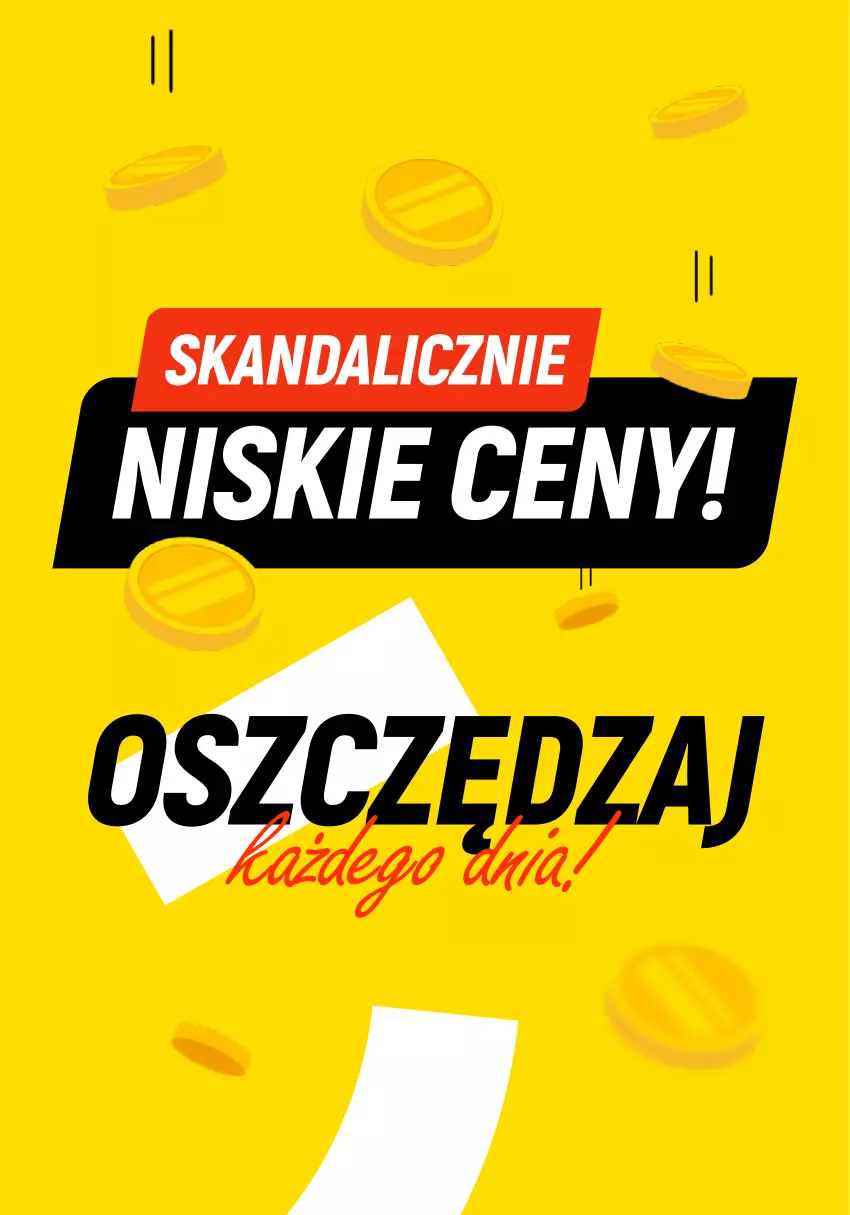 Gazetka promocyjna Dealz - Oszczędzaj każdego dnia! - ważna 19.02 do 21.02.2024 - strona 6