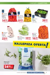 Gazetka promocyjna Makro - [Oferta promocyjna] Artykuły spożywcze i przemysłowe - Gazetka - ważna od 07.03 do 07.03.2022 - strona 3 - produkty: Warzywa, Sok, Czosnek, Rukola, Cytryny, Pomarańcze, Owoce, LUSTi