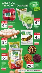 Gazetka promocyjna Intermarche - Gazetka Intermarche - Gazetka - ważna od 24.01 do 24.01.2024 - strona 17 - produkty: Piec, Ogórek, Sałat, Pieczarka, Mieszanka bakaliowa, Jabłka