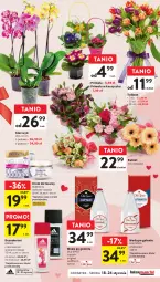 Gazetka promocyjna Intermarche - Gazetka Intermarche - Gazetka - ważna od 24.01 do 24.01.2024 - strona 9 - produkty: Krem do twarzy, Gin, Tulipan, Old Spice, Dezodorant, Kosz, Adidas, Perfecta, Woda po goleniu, Primula, Storczyk, Bukiet, Woda