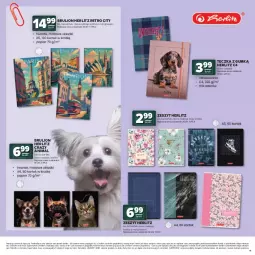 Gazetka promocyjna Stokrotka - Katalog Witaj Szkoło! - Gazetka - ważna od 12.08 do 12.08.2026 - strona 11 - produkty: Warzywa, Gin, Lion, Owoce, Mięso