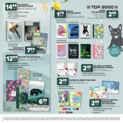 Gazetka promocyjna Stokrotka - Katalog Witaj Szkoło! - Gazetka - ważna od 12.08 do 12.08.2026 - strona 14 - produkty: Warzywa, Top, Gin, Papier, Lion, Owoce, Mięso