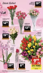 Gazetka promocyjna Delikatesy Centrum - Franczyza DC10 Czwartek - Gazetka - ważna od 11.03 do 11.03.2026 - strona 3 - produkty: Rum, Róża, Dron, Storczyk, Bukiet