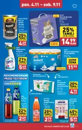 Gazetka promocyjna Aldi - Pełna oferta - Gazetka - ważna od 09.11 do 09.11.2024 - strona 13 - produkty: Papier, Ice tea, Odplamiacz, Ręcznik, Rolki, Chusteczki, Nektar, Grejpfrut