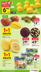 Gazetka promocyjna Intermarche - Gazetka Intermarche - Gazetka - ważna od 04.02 do 04.02.2026 - strona 11 - produkty: Gra, Kiwi, Sałat, Pomelo, Mango, Fa