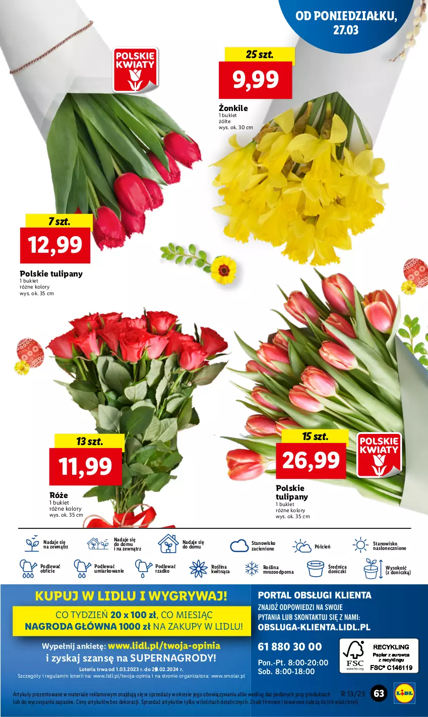 Gazetka promocyjna Lidl - GAZETKA - ważna 27.03 do 29.03.2023 - strona 69 - produkty: Bukiet, Cień, Gry, Mola, O nas, Por, Sok, Tulipan