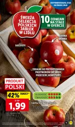 Gazetka promocyjna Lidl - GAZETKA - Gazetka - ważna od 29.03 do 29.03.2023 - strona 13 - produkty: Mus, Szampion, Jabłka