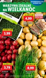 Gazetka promocyjna Lidl - GAZETKA - Gazetka - ważna od 29.03 do 29.03.2023 - strona 17 - produkty: Warzywa, Rzeżucha, Ziemniaki, Sałat