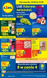 Gazetka promocyjna Lidl - Gazetka ważna od 10.09 do 12.09 - Gazetka - ważna od 12.09 do 12.09.2026 - strona 1 - produkty: Piwa, Kurczak, Gra, Karkówka wieprzowa, Laur, Pilos, Winogrona, Wino, Masło, Nektar
