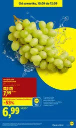 Gazetka promocyjna Lidl - Gazetka ważna od 10.09 do 12.09 - Gazetka - ważna od 12.09 do 12.09.2026 - strona 21 - produkty: Gra, Winogrona, Wino, Olej