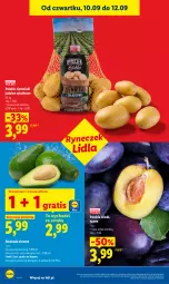 Gazetka promocyjna Lidl - Gazetka ważna od 10.09 do 12.09 - Gazetka - ważna od 12.09 do 12.09.2026 - strona 40 - produkty: Gra, Ziemniaki, Sałat