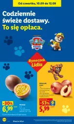 Gazetka promocyjna Lidl - Gazetka ważna od 10.09 do 12.09 - Gazetka - ważna od 12.09 do 12.09.2026 - strona 42 - produkty: Ser, Nektar
