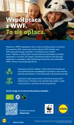 Gazetka promocyjna Lidl - Gazetka ważna od 10.09 do 12.09 - Gazetka - ważna od 12.09 do 12.09.2026 - strona 86 - produkty: Por, Gra, Kawa, Bieganie, Herbata, Olej, Fa