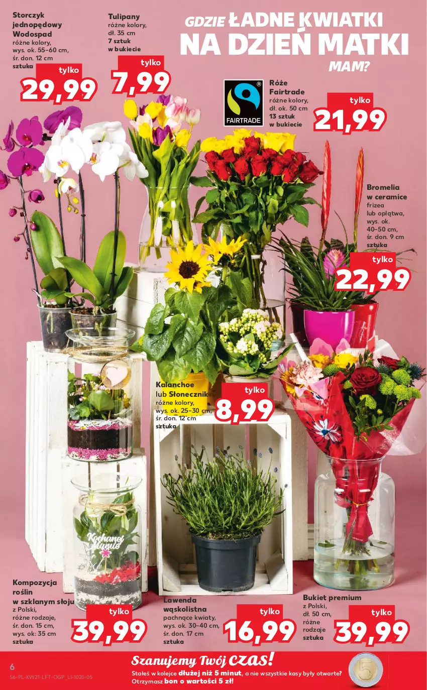 Gazetka promocyjna Kaufland - OFERTA TYGODNIA - ważna 26.05 do 01.06.2022 - strona 6 - produkty: Bromelia, Bukiet, Fa, Kalanchoe, Olej, Storczyk, Tulipan