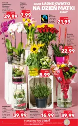 Gazetka promocyjna Kaufland - OFERTA TYGODNIA - Gazetka - ważna od 01.06 do 01.06.2022 - strona 6 - produkty: Tulipan, Kalanchoe, Storczyk, Bromelia, Bukiet, Olej, Fa