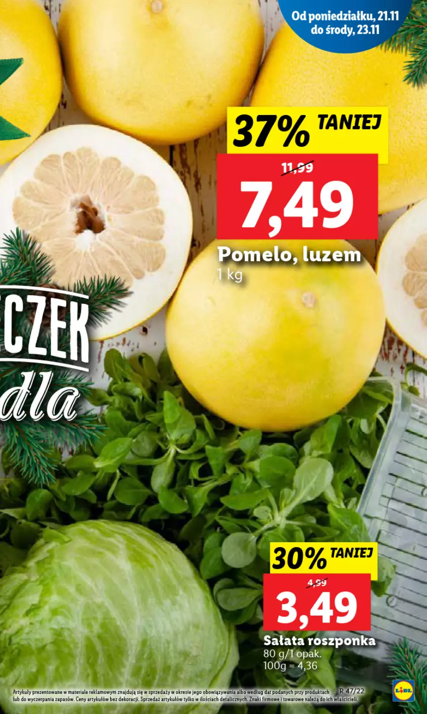 Gazetka promocyjna Lidl - GAZETKA - ważna 21.11 do 23.11.2022 - strona 15 - produkty: Fa, Kosz, Sałat