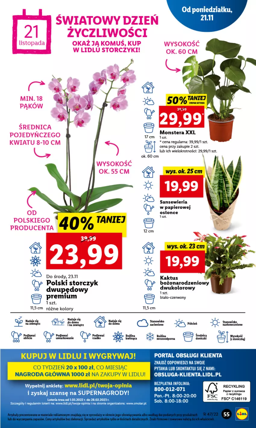 Gazetka promocyjna Lidl - GAZETKA - ważna 21.11 do 23.11.2022 - strona 59 - produkty: Gry, Kaktus, Papier, Por, Portal, Storczyk, Tera