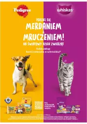 Gazetka promocyjna Intermarche - Gazetka Intermarche - Gazetka - ważna od 15.10 do 15.10.2025 - strona 1 - produkty: Sok, Karmi
