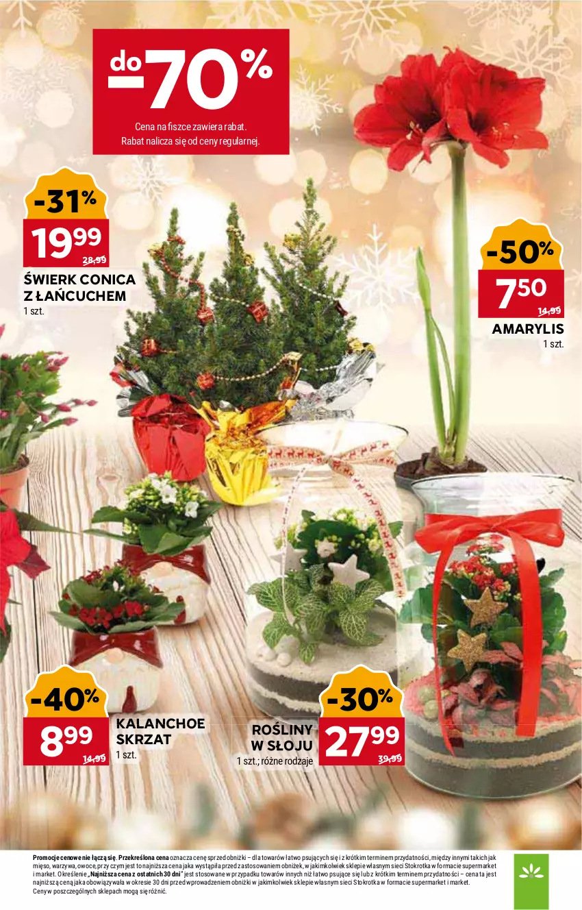 Gazetka promocyjna Stokrotka - Market - ważna 22.12 do 28.12.2025 - strona 13 - produkty: Amarylis, Kalanchoe, Mięso, Owoce, Skrzat, Warzywa
