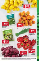 Gazetka promocyjna Stokrotka - Market - Gazetka - ważna od 28.12 do 28.12.2025 - strona 11 - produkty: Cebula czerwona, Cebula, Warzywa, Papryka czerwona, Papryka, Rukola, Cytryny, Kaki, Sałat, Owoce, Mięso