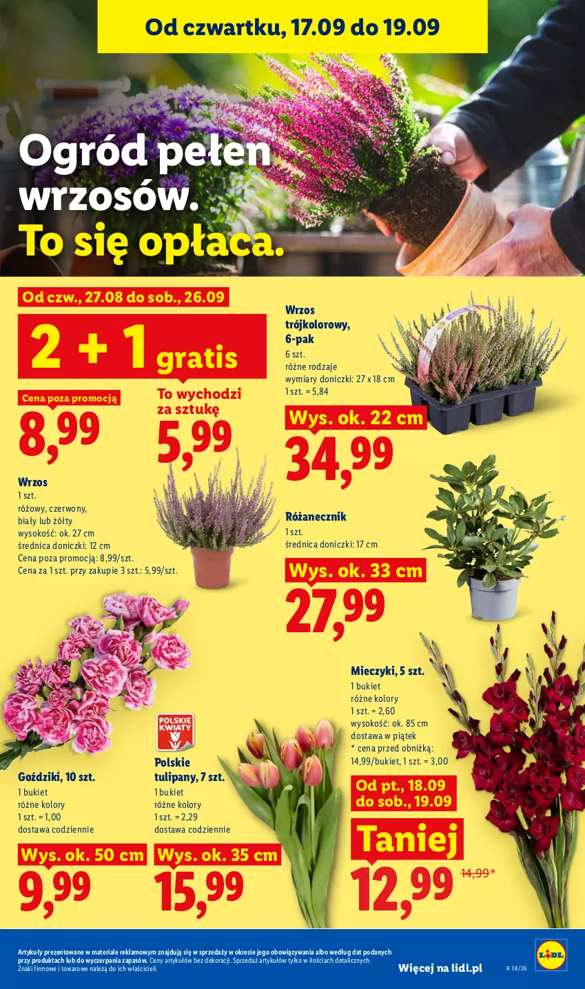 Gazetka promocyjna Lidl - Gazetka ważna od 17.09 do 19.09 - ważna 17.09 do 19.09.2026 - strona 85 - produkty: Bukiet, Gra, Miecz, Ogród, Róża, Sok, Tulipan