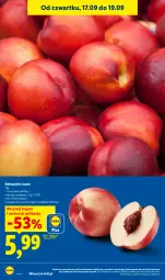 Gazetka promocyjna Lidl - Gazetka ważna od 17.09 do 19.09 - Gazetka - ważna od 19.09 do 19.09.2026 - strona 24 - produkty: Nektar