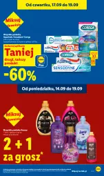 Gazetka promocyjna Lidl - Gazetka ważna od 17.09 do 19.09 - Gazetka - ważna od 19.09 do 19.09.2026 - strona 33 - produkty: Corega, Aquafresh, Sensodyne