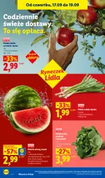 Gazetka promocyjna Lidl - Gazetka ważna od 17.09 do 19.09 - Gazetka - ważna od 19.09 do 19.09.2026 - strona 42 - produkty: Cebula, Sałata masłowa, Sałat, Arbuz, Masło, Jabłka