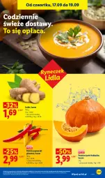 Gazetka promocyjna Lidl - Gazetka ważna od 17.09 do 19.09 - Gazetka - ważna od 19.09 do 19.09.2026 - strona 43 - produkty: Papryczki pikantne, Imbir
