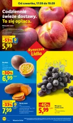 Gazetka promocyjna Lidl - Gazetka ważna od 17.09 do 19.09 - Gazetka - ważna od 19.09 do 19.09.2026 - strona 44 - produkty: Winogrona, Wino, Nektar