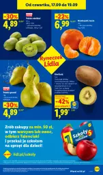 Gazetka promocyjna Lidl - Gazetka ważna od 17.09 do 19.09 - Gazetka - ważna od 19.09 do 19.09.2026 - strona 45 - produkty: Mandarynki, Kiwi, Minikiwi, Gruszki, Dzieci