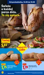 Gazetka promocyjna Lidl - Gazetka ważna od 17.09 do 19.09 - Gazetka - ważna od 19.09 do 19.09.2026 - strona 50 - produkty: Por, Rust, Bułka